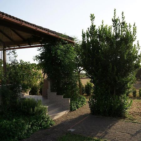 Accogliente Villa Con Piscina Caltagirone Eksteriør bilde