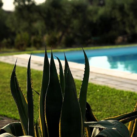 Accogliente Villa Con Piscina Caltagirone Eksteriør bilde