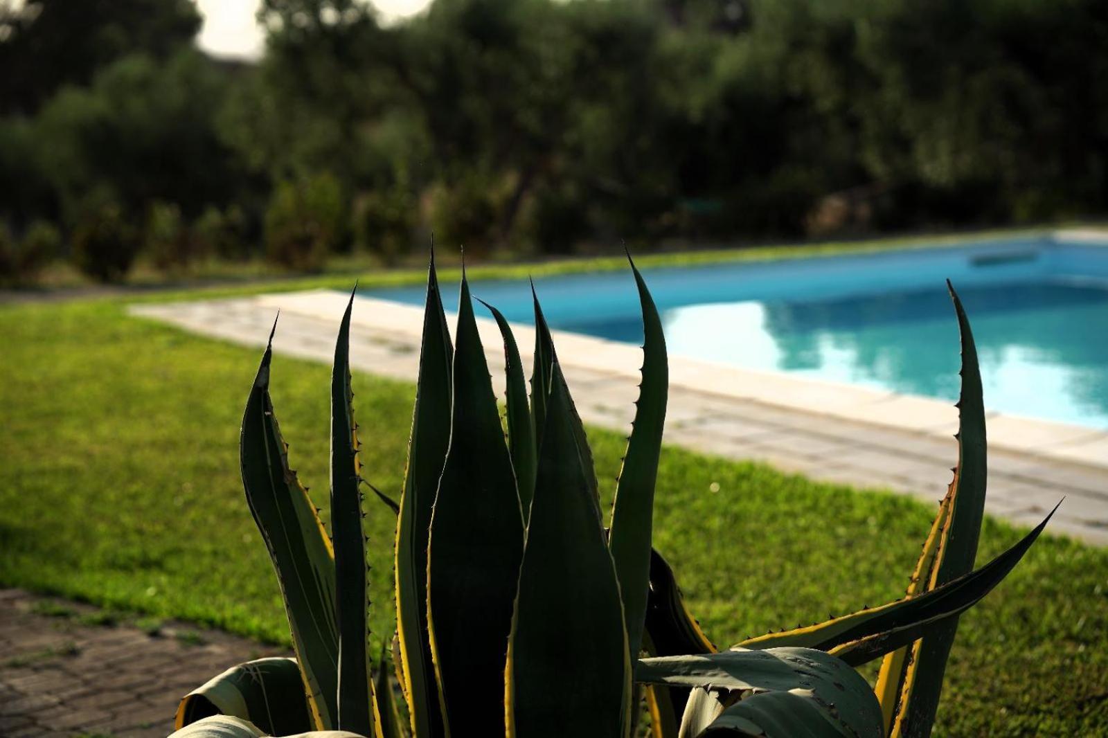 Accogliente Villa Con Piscina Caltagirone Eksteriør bilde