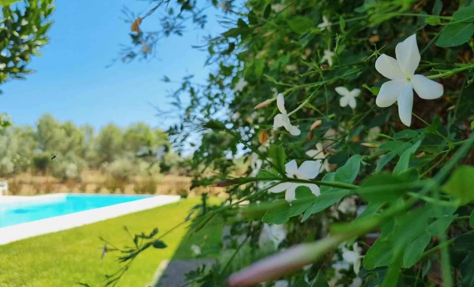Accogliente Villa Con Piscina Caltagirone Eksteriør bilde
