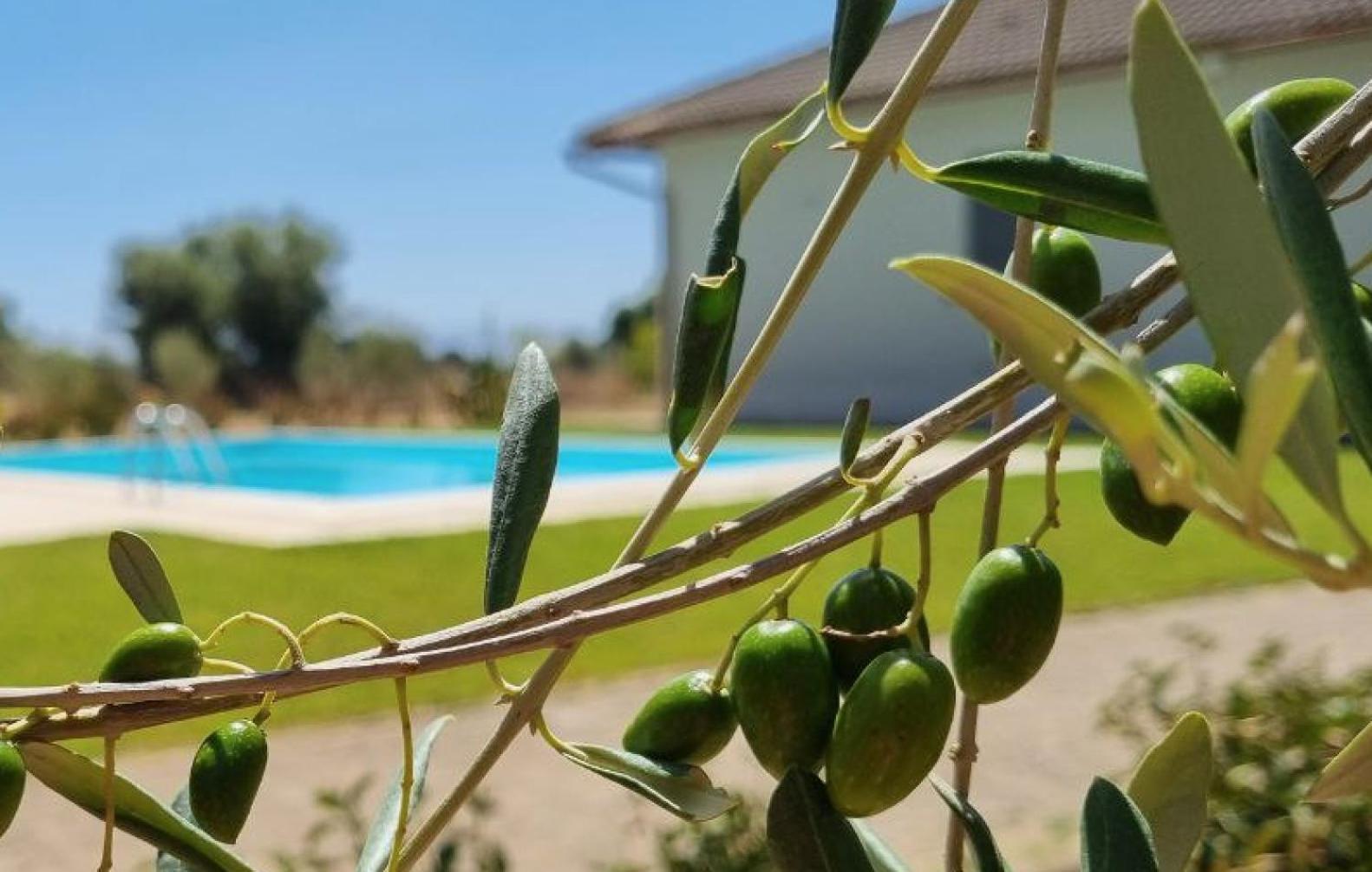 Accogliente Villa Con Piscina Caltagirone Eksteriør bilde