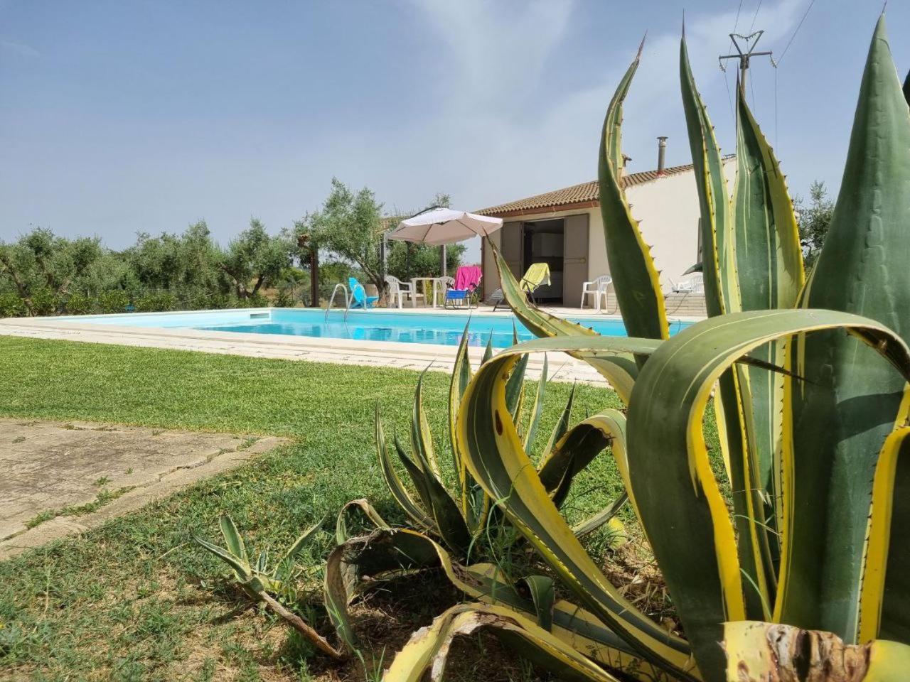 Accogliente Villa Con Piscina Caltagirone Eksteriør bilde