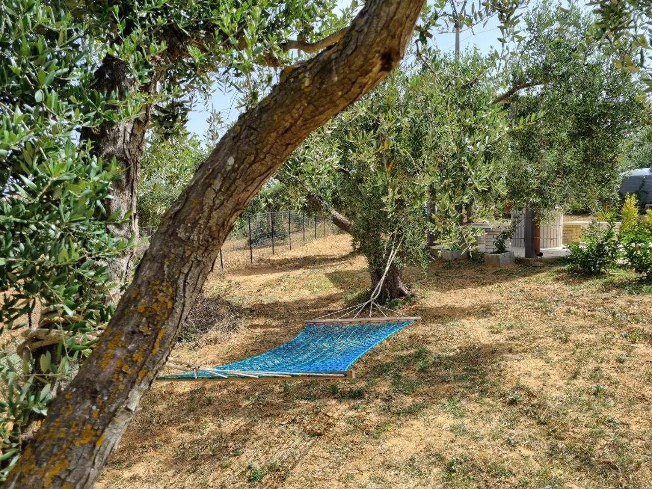 Accogliente Villa Con Piscina Caltagirone Eksteriør bilde