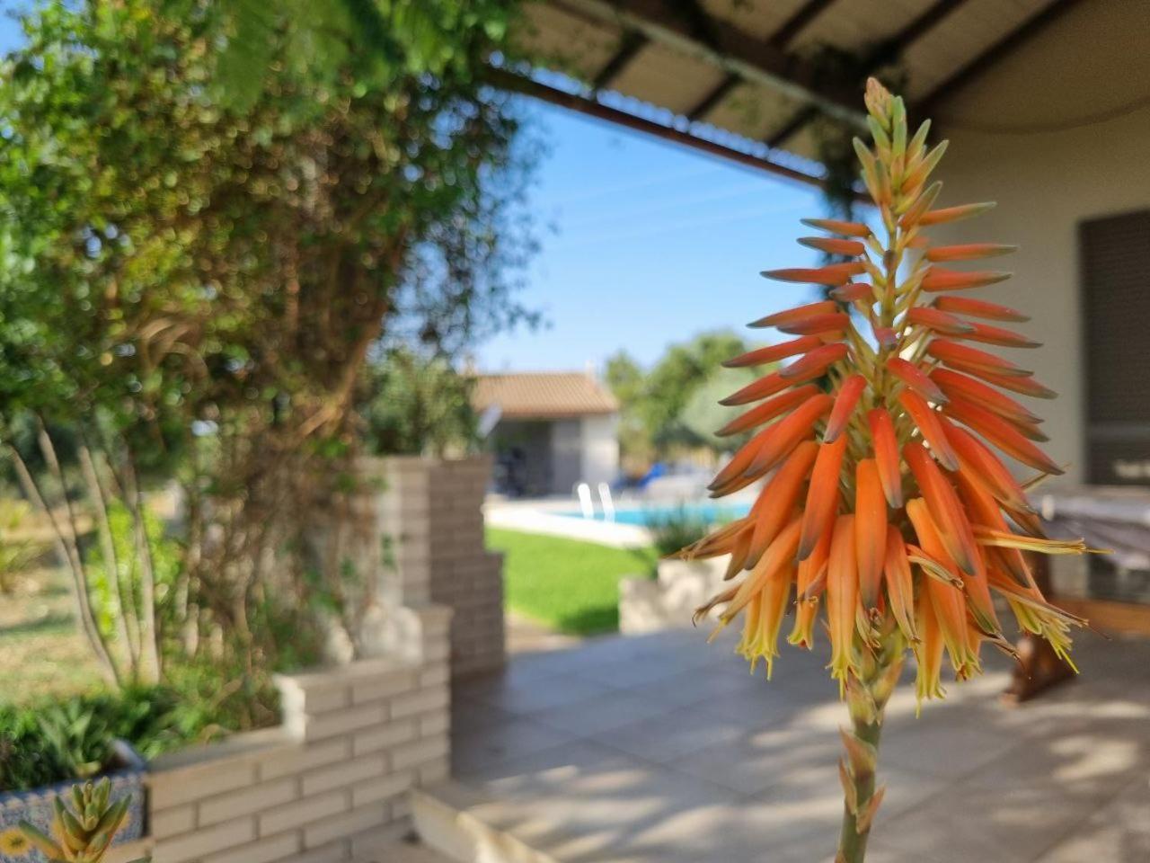Accogliente Villa Con Piscina Caltagirone Eksteriør bilde